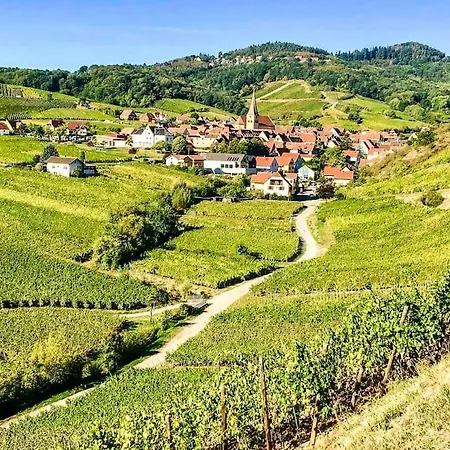 アパート Des Epicurieux : Rando, Vin Et Belles Tables Niedermorschwihr