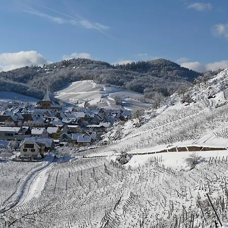 Des Epicurieux : Rando, Vin Et Belles Tables