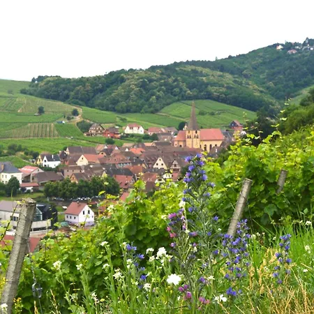 Des Epicurieux : Rando, Vin Et Belles Tables アパート *