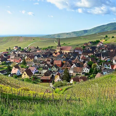Des Epicurieux : Rando, Vin Et Belles Tables Niedermorschwihr